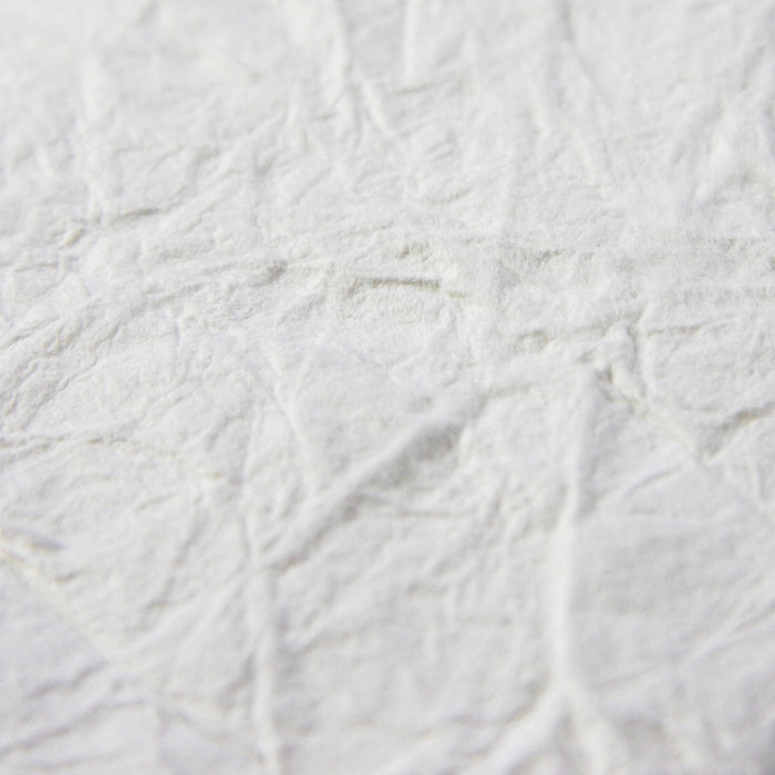 Ultra close-up of the paper's surface.