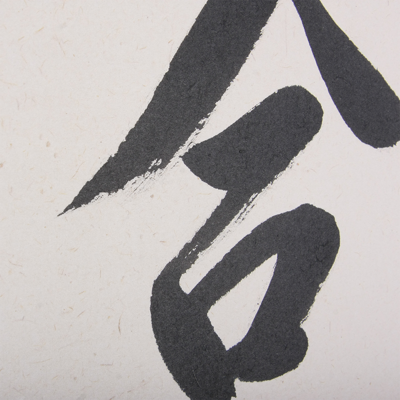 Aikido Kakejiku