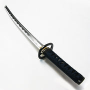 The wakizashi by itself.