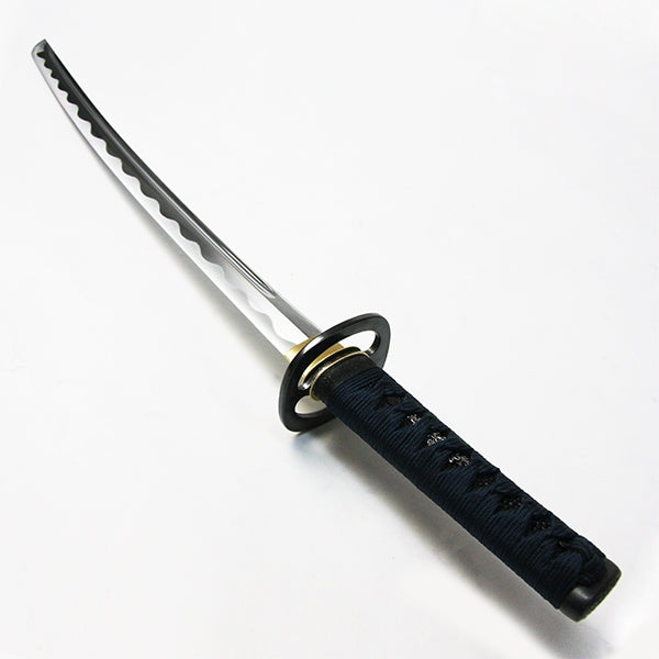 The wakizashi by itself.