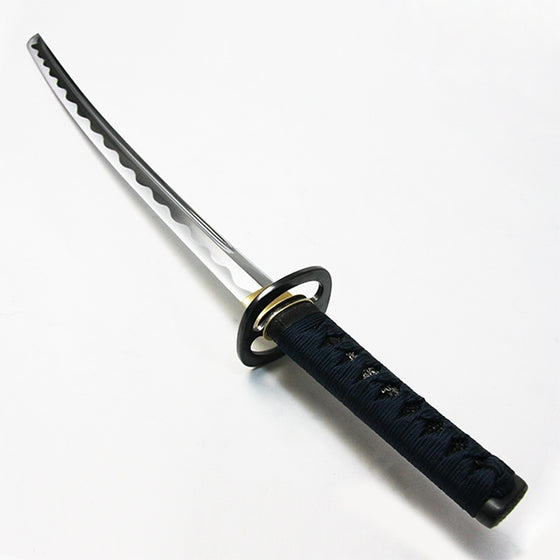 The wakizashi by itself.