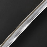 Close-up of the blade.