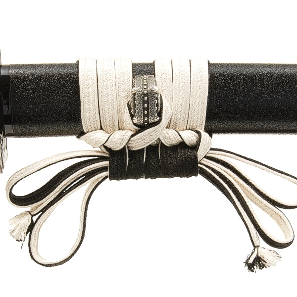 Close-up of the sageo 3