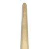 Top-down view of the hiramine spine.