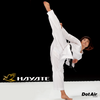 DotAir Karate uniform image