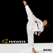 DotAir Karate uniform image