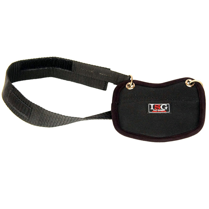 ISG Safety Guard & Harness