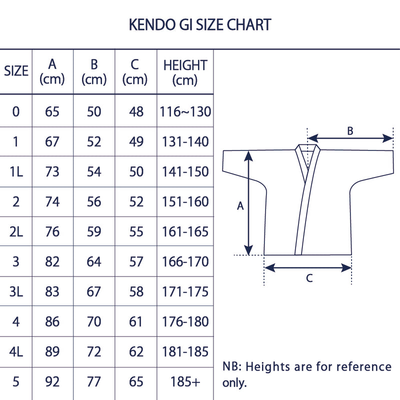 The Nyumon Kendo Vixia Beginner's Set