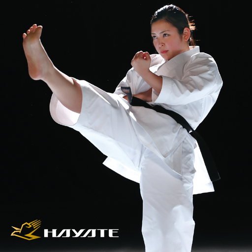 Karate for Dojo — Tozando International