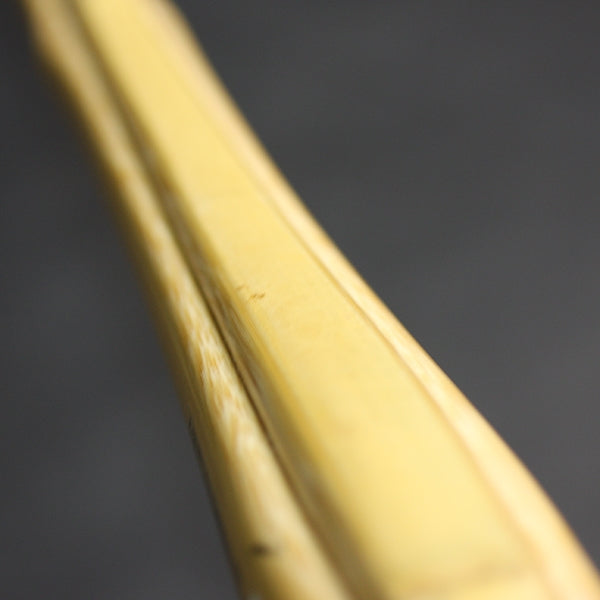 Close-up of the body.