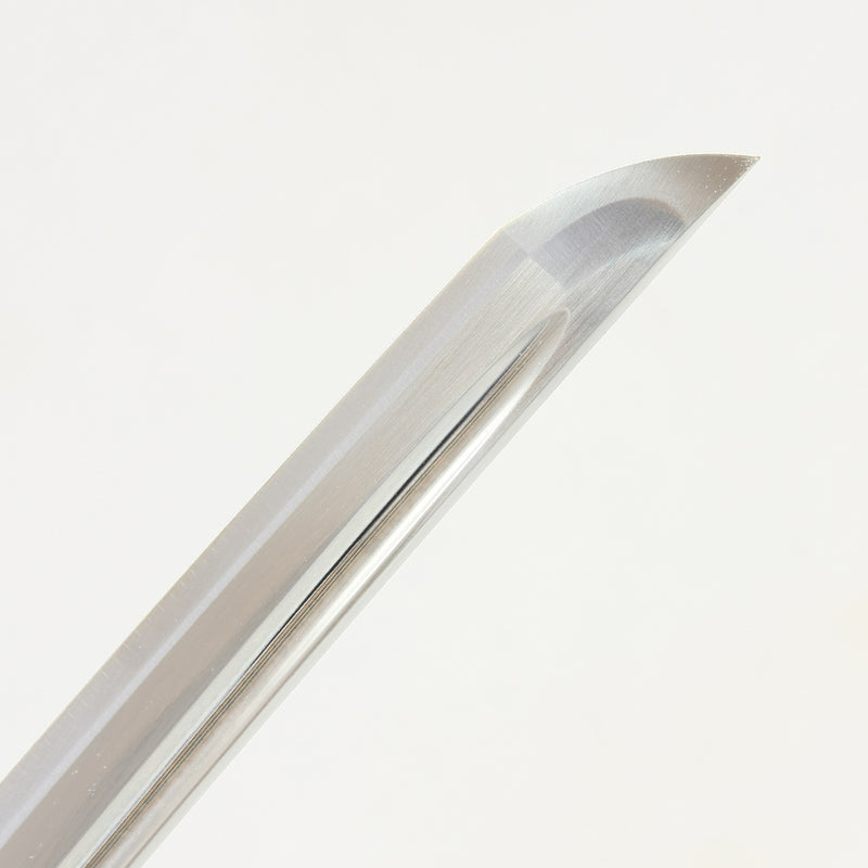 Seiryu - Tombo Koshirae Iaito
