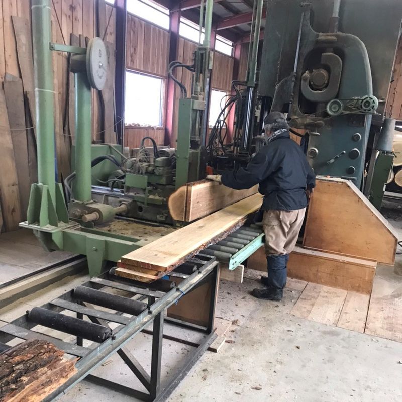 Japanese Hokkaido Oak Bokuto Shoto 54.5cm