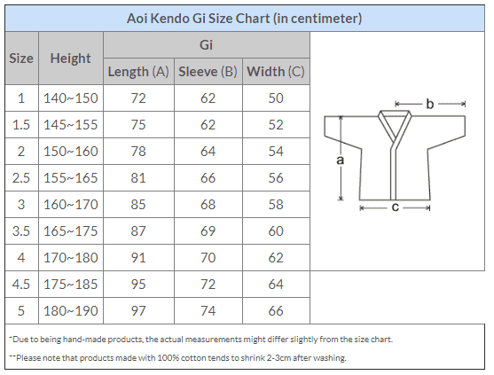 Aoi Kendo Gi