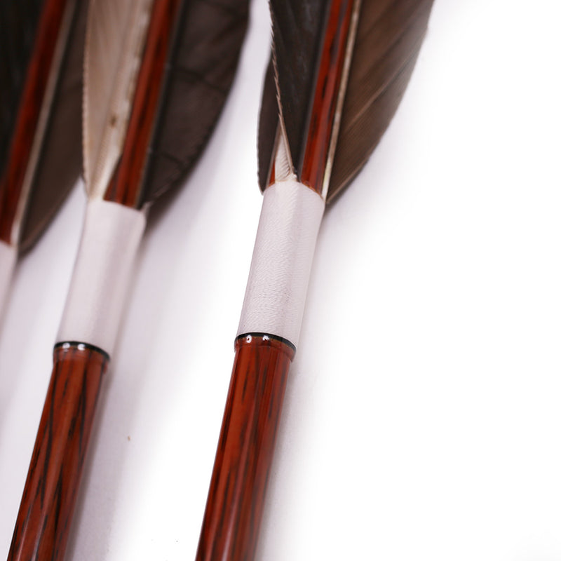 Hayabusa - Eagle-feather Carbon Ya - Pack of 6
