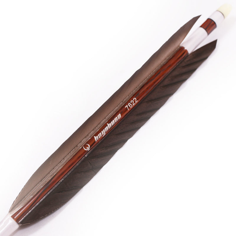 Hayabusa - Eagle-feather Carbon Ya - Pack of 6
